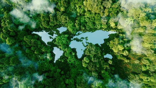 Sustainable Cocktails: Drinking Responsibly in Every Sense