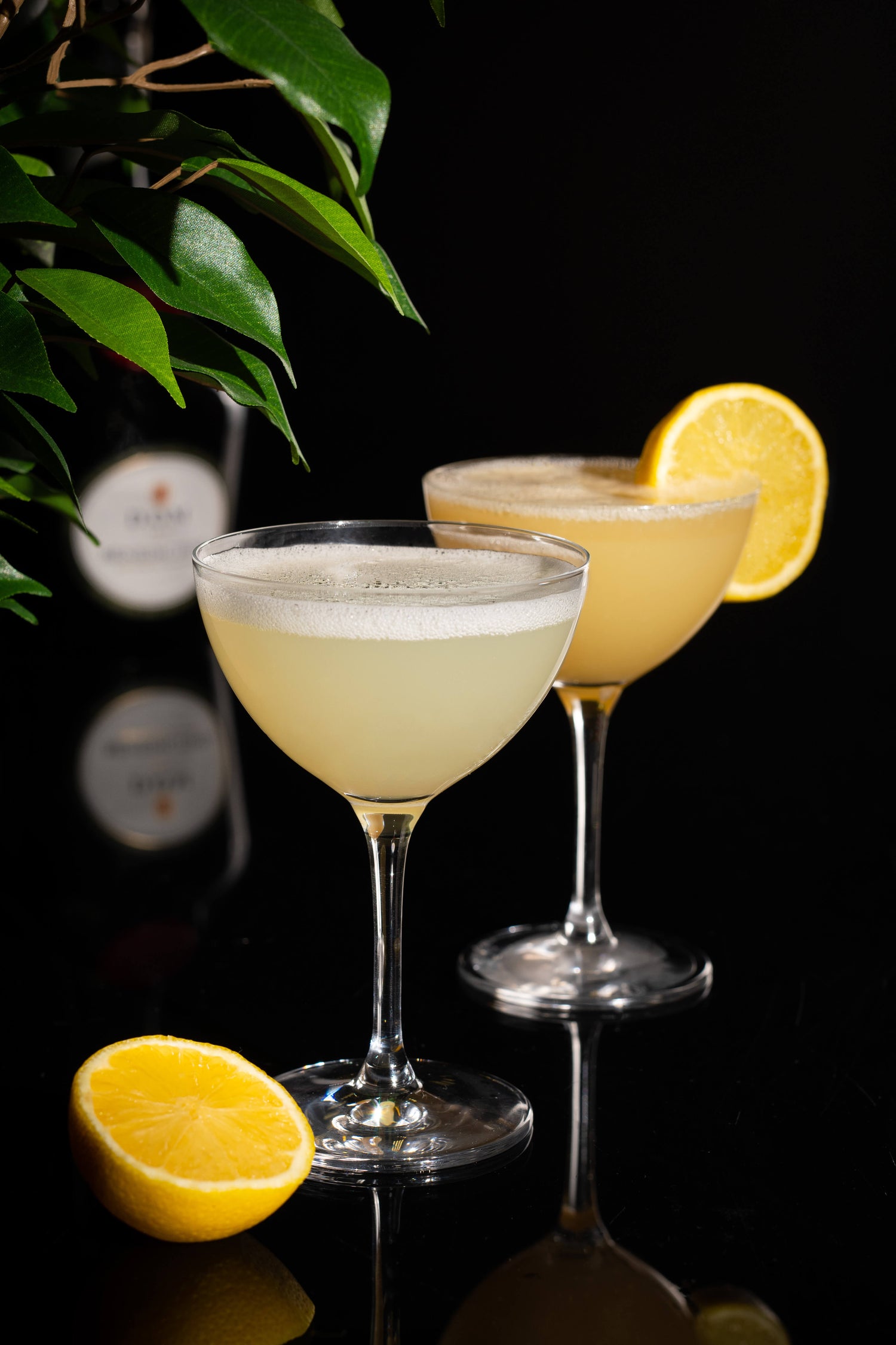 Nick & Nora - Mini Cocktail Coupes Glasses – Set of 2