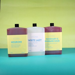 Gin Lovers Box